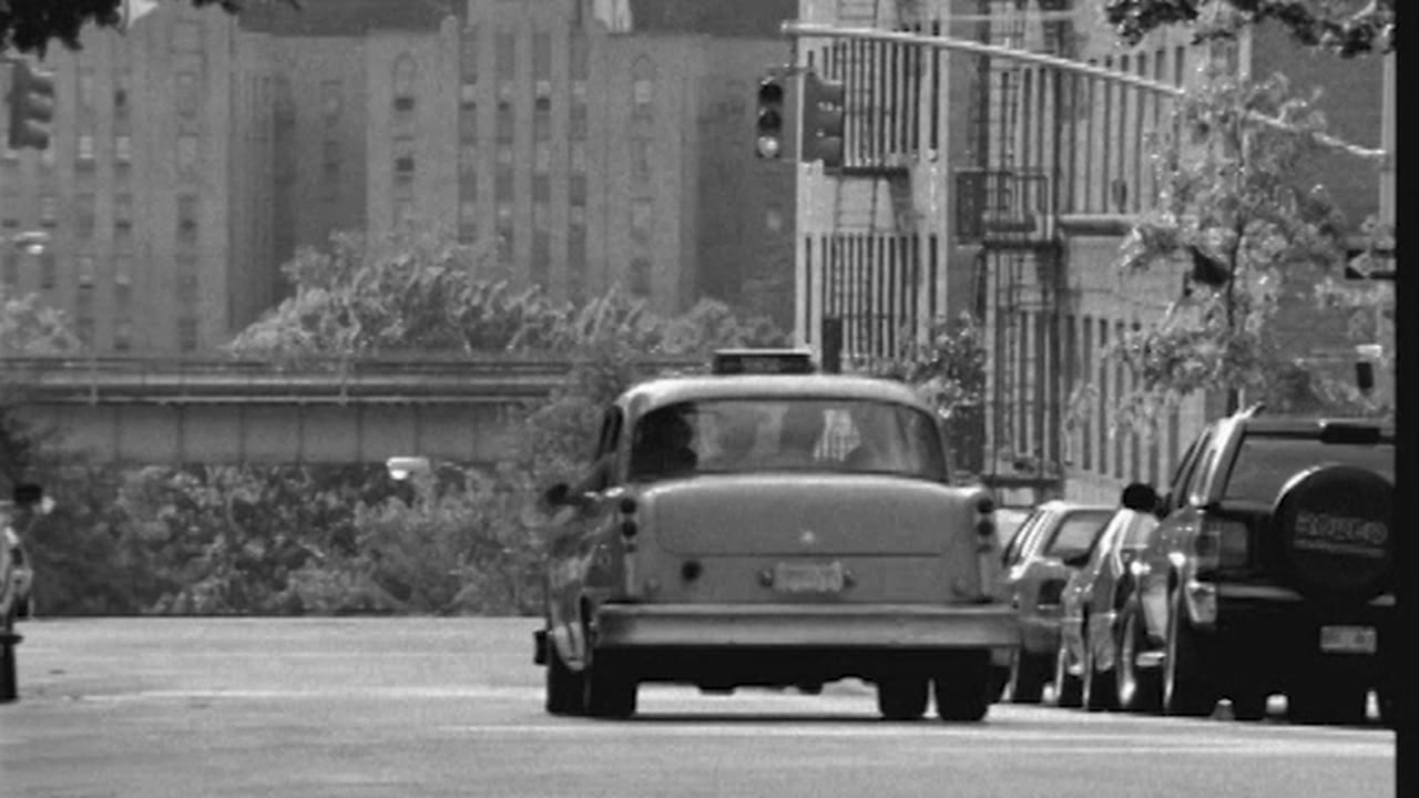 ADIDAS SPELLING TROUBLE