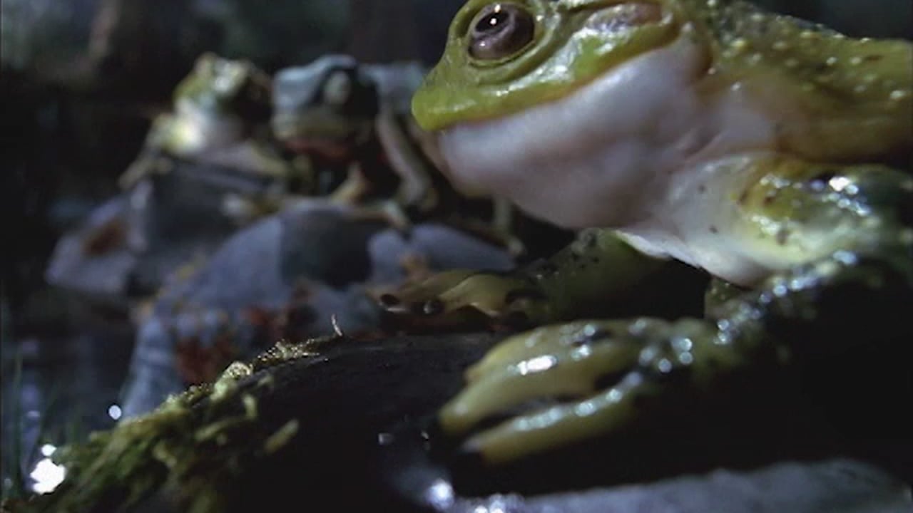 bud final act unsanitary nfa