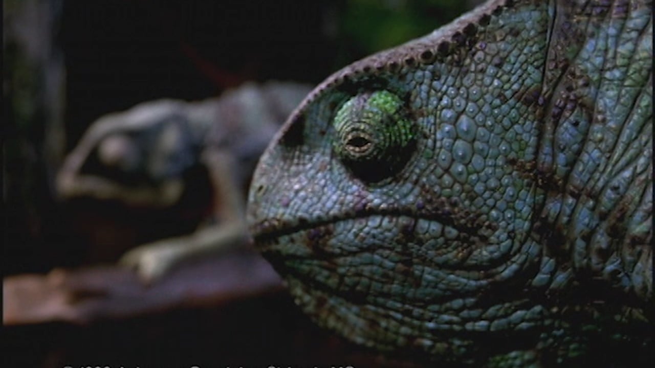 bud get off the branch