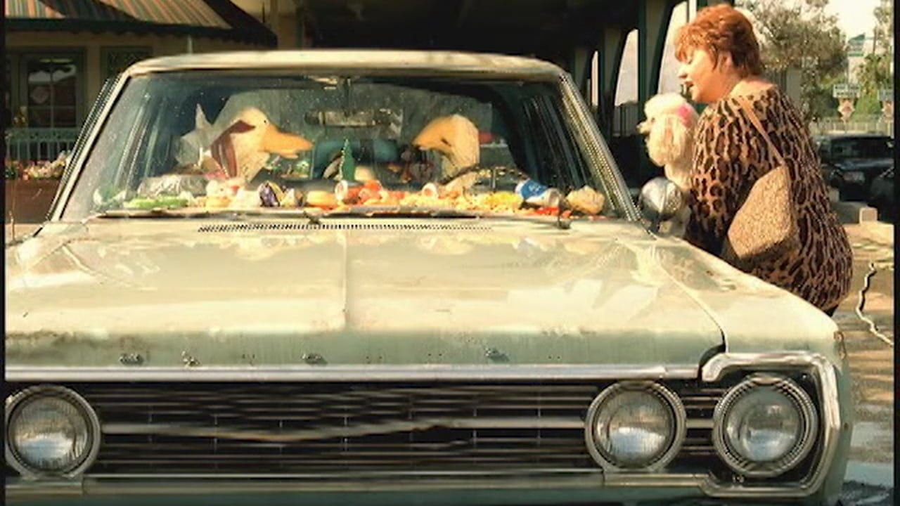 foster farms car wash